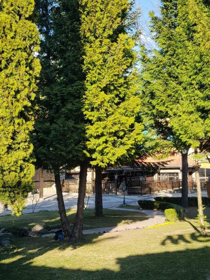 Hotel Tanne バンスコ エクステリア 写真